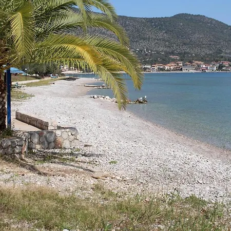 Palataki * Kórfos